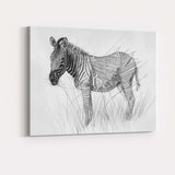 Detailed Black White Zebra Wildlife Pencil Drawing Canvas Wall Art Print Decor Picture Ready to Hang
