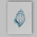 Soft Blue Watercolour Spiral Seashell Coastal Illustration Canvas Wall Art Print Decor Picture Ready to Hang
