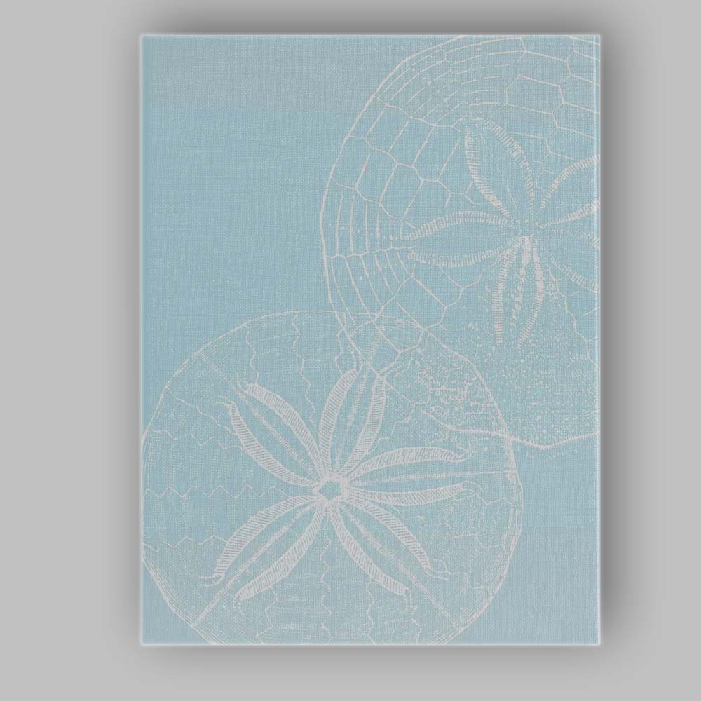 Minimalist White Sand Dollar Coastal Beach Illustration Canvas Wall Art Print Decor Picture Ready to Hang