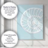 Minimalist White Nautilus Shell Coastal Fossil Illustration Canvas Wall Art Print Decor Picture Ready to Hang