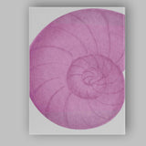 Soft Pink Watercolour Nautilus Shell Spiral Illustration Canvas Wall Art Print Decor Picture Ready to Hang