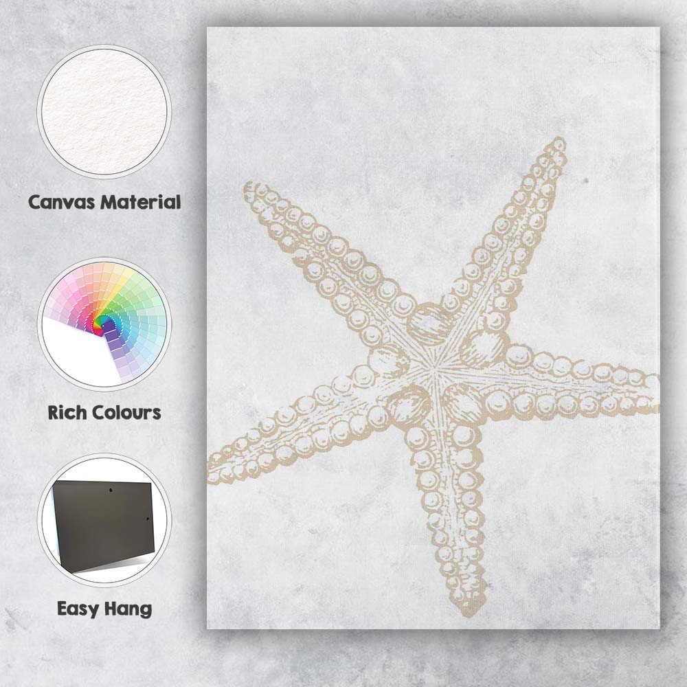 Minimal Beige Coastal Starfish Sketch Illustration Canvas Wall Art Print Decor Picture Ready to Hang