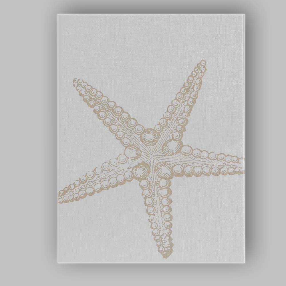 Minimal Beige Coastal Starfish Sketch Illustration Canvas Wall Art Print Decor Picture Ready to Hang