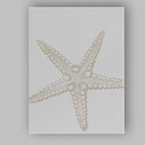 Minimal Beige Coastal Starfish Sketch Illustration Canvas Wall Art Print Decor Picture Ready to Hang