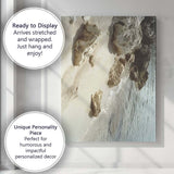 Sunlit Coastal Rocks Beach Shoreline Photography Canvas Wall Art Print Decor Picture Ready to Hang