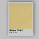 Lemon Tonic Soft Yellow Colour Block Minimalist Poster Canvas Wall Art Print Decor Picture Ready to Hang