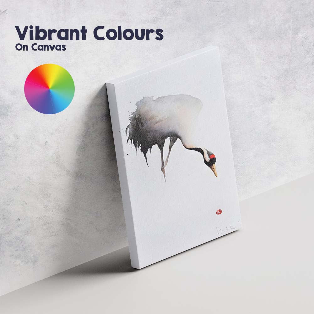 Minimalist Watercolour Red Crowned Crane Bird Illustration Canvas Wall Art Print Decor Picture Ready to Hang