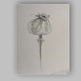 Minimalist Monochrome Watercolour Poppy Flower Botanical Sketch Canvas Wall Art Print Decor Picture Ready to Hang