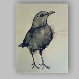 Grey Watercolour Bird Contemporary Ink Sketch Canvas Wall Art Print Decor Picture Ready to Hang