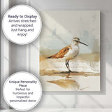 Watercolour Shorebird Coastal Wildlife Illustration Canvas Wall Art Print Decor Picture Ready to Hang