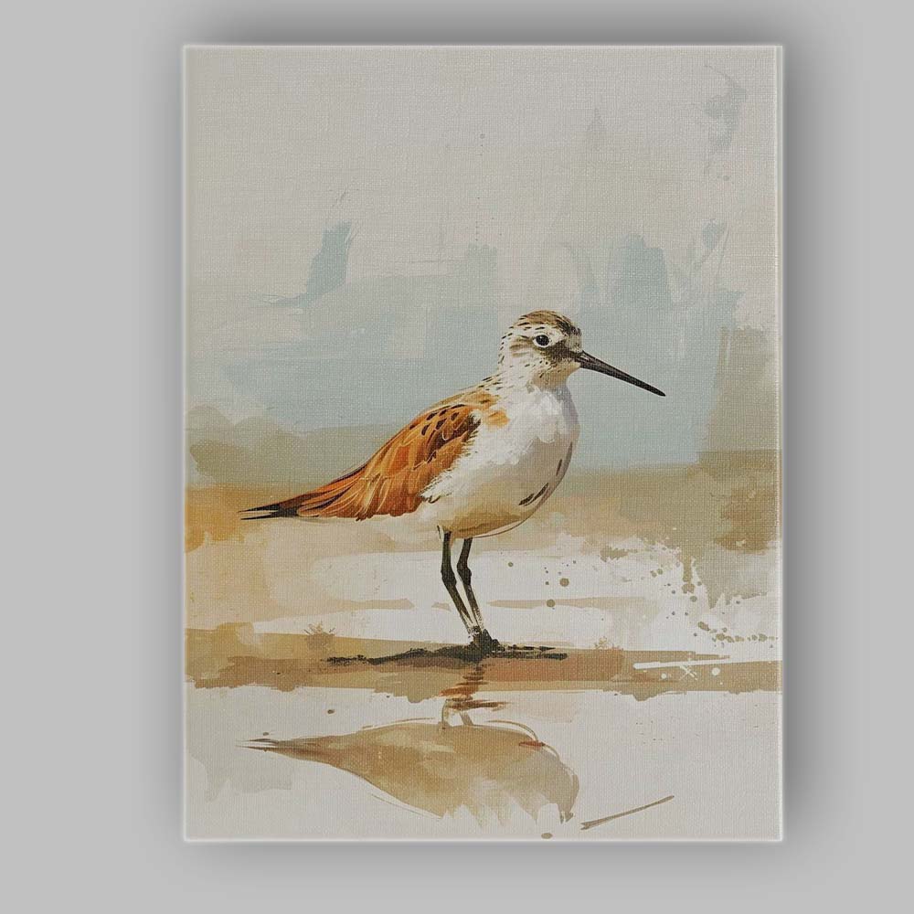 Watercolour Shorebird Coastal Wildlife Illustration Canvas Wall Art Print Decor Picture Ready to Hang