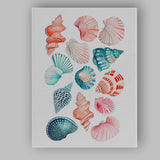 Colourful Coastal Seashell Collection Watercolour Illustration Canvas Wall Art Print Decor Picture Ready to Hang