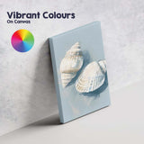 Neutral Coastal Seashell Still Life Painting Canvas Wall Art Print Decor Picture Ready to Hang