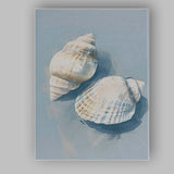 Neutral Coastal Seashell Still Life Painting Canvas Wall Art Print Decor Picture Ready to Hang