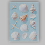 Coastal Seashell And Starfish Flat Lay Canvas Wall Art Print Decor Picture Ready to Hang