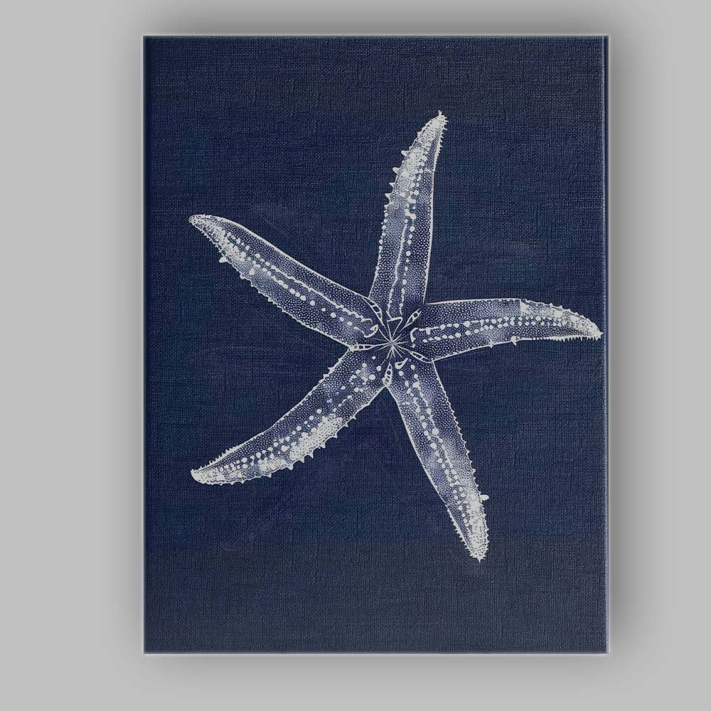 Navy Blue Detailed Starfish Coastal Nautical Illustration Canvas Wall Art Print Decor Picture Ready to Hang