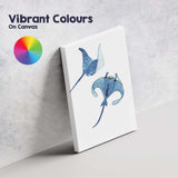 Blue Watercolour Manta Ray Pair Coastal Marine Illustration Canvas Wall Art Print Decor Picture Ready to Hang