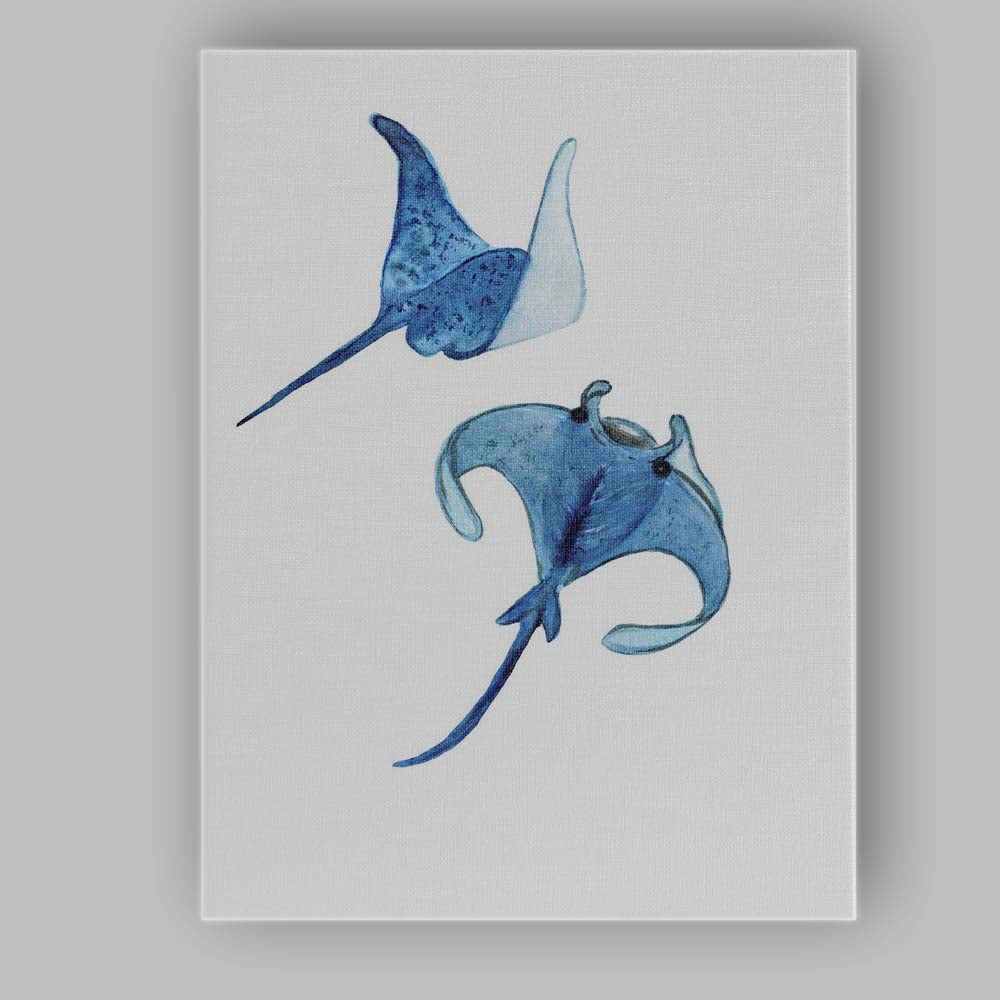 Blue Watercolour Manta Ray Pair Coastal Marine Illustration Canvas Wall Art Print Decor Picture Ready to Hang