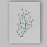 Soft Blue Watercolour Sea Coral Coastal Illustration Canvas Wall Art Print Decor Picture Ready to Hang