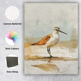 Coastal Sandpiper Shore Bird Watercolour Wildlife Canvas Wall Art Print Decor Picture Ready to Hang