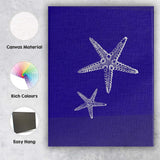 White Nautical Starfish Coastal Marine Illustration Canvas Wall Art Print Decor Picture Ready to Hang