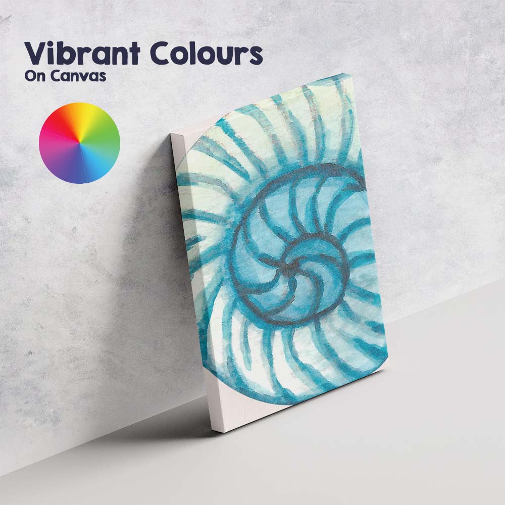 Blue Watercolour Nautilus Seashell Spiral Coastal Canvas Wall Art Print Decor Picture Ready to Hang