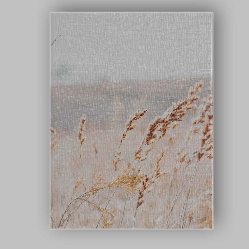 Golden Wild Meadow Grass Botanical Photography Canvas Wall Art Print Decor Picture Ready to Hang