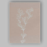 Neutral Botanical Coastal Wildflower Line Drawing Canvas Wall Art Print Decor Picture Ready to Hang
