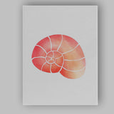 Coral Pink Nautilus Shell Watercolour Illustration Canvas Wall Art Print Decor Picture Ready to Hang