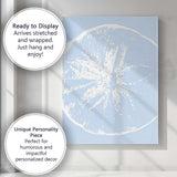 Minimalist Coastal Sand Dollar Shell Silhouette Canvas Wall Art Print Decor Picture Ready to Hang
