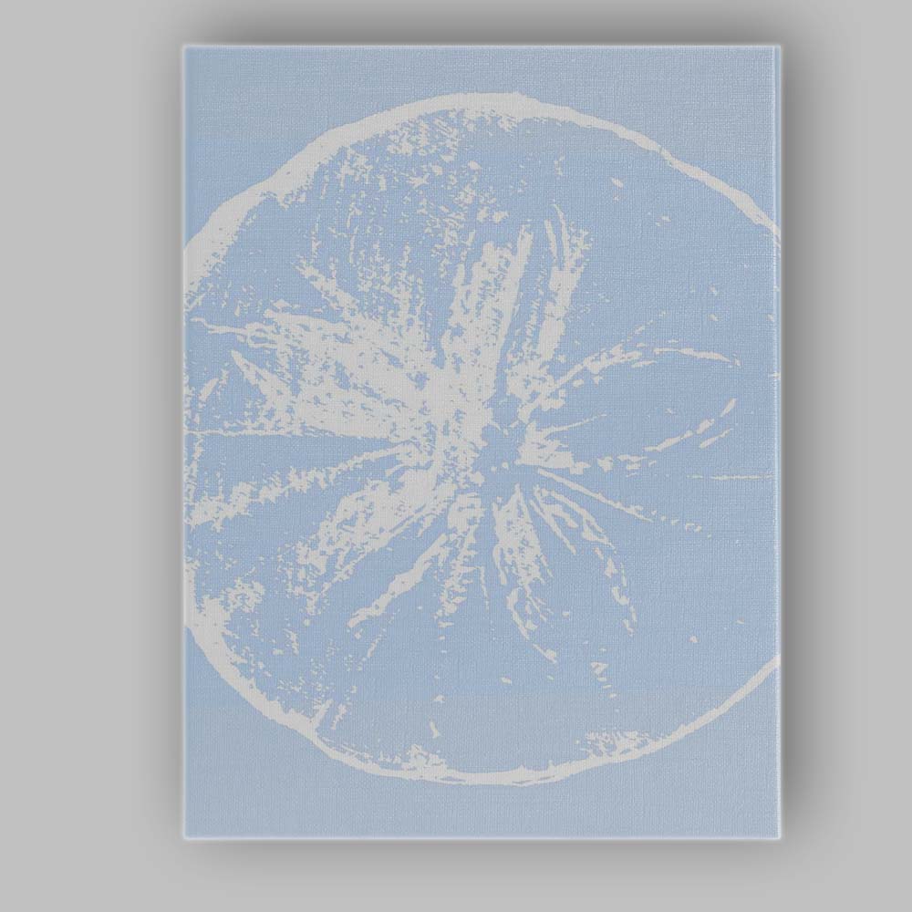 Minimalist Coastal Sand Dollar Shell Silhouette Canvas Wall Art Print Decor Picture Ready to Hang