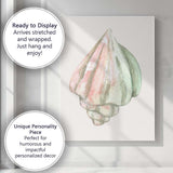 Pastel Pink Green Watercolour Seashell Illustration Canvas Wall Art Print Decor Picture Ready to Hang