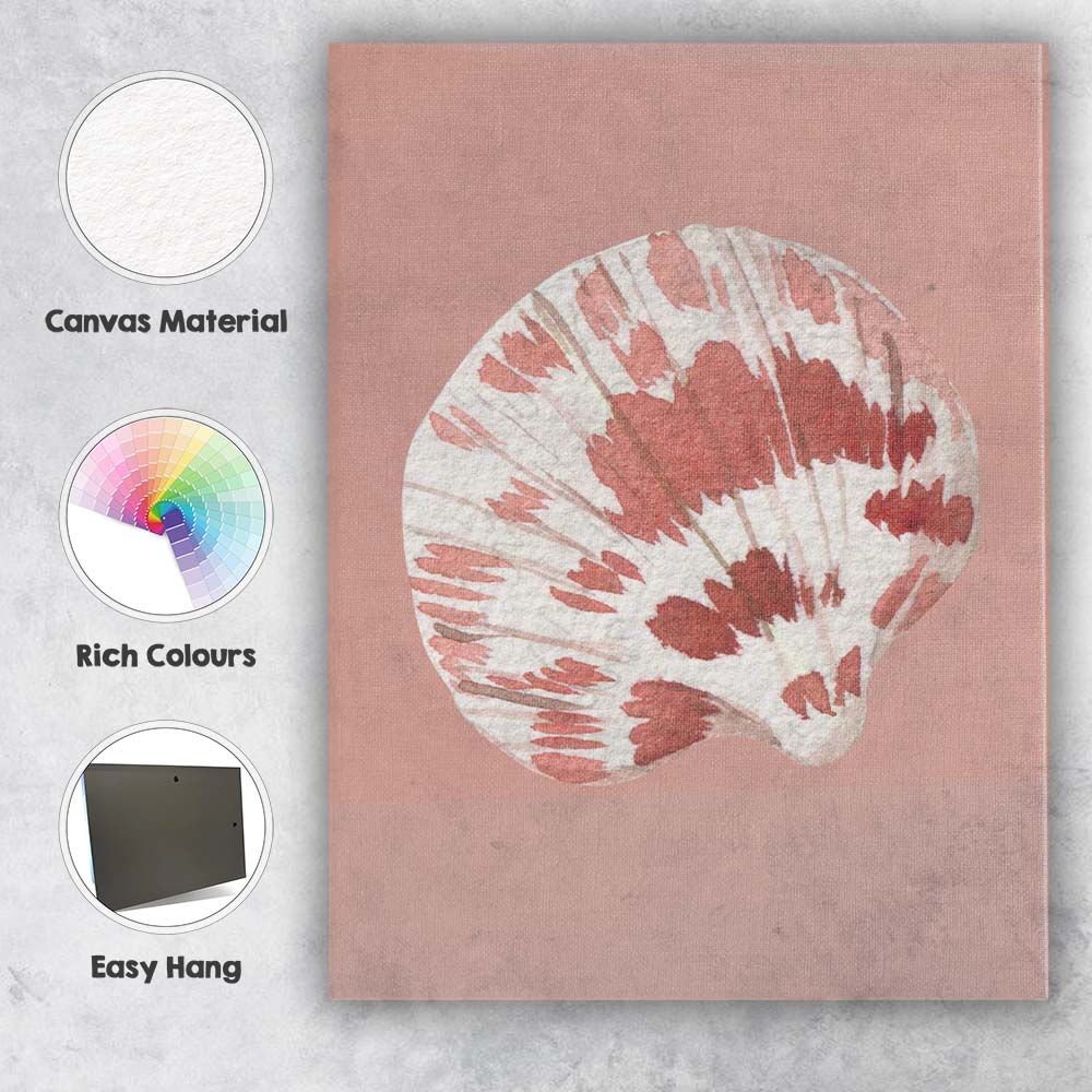 Blush Pink Watercolour Scallop Shell Coastal Illustration Canvas Wall Art Print Decor Picture Ready to Hang