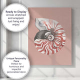 Nautilus Spiral Seashell Watercolour Coastal Illustration Canvas Wall Art Print Decor Picture Ready to Hang