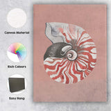 Nautilus Spiral Seashell Watercolour Coastal Illustration Canvas Wall Art Print Decor Picture Ready to Hang