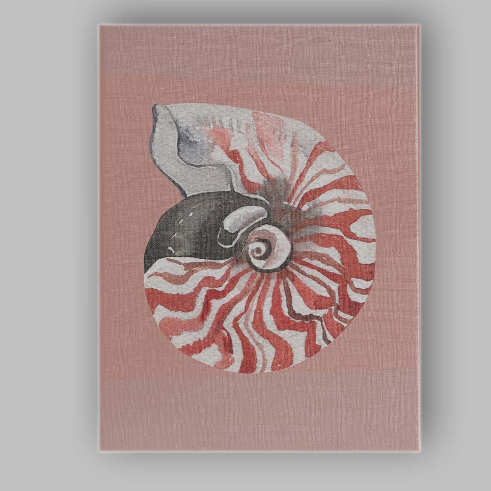 Nautilus Spiral Seashell Watercolour Coastal Illustration Canvas Wall Art Print Decor Picture Ready to Hang