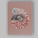 Nautilus Spiral Seashell Watercolour Coastal Illustration Canvas Wall Art Print Decor Picture Ready to Hang