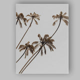 Sepia Tropical Palm Trees Coastal Photography Canvas Wall Art Print Decor Picture Ready to Hang