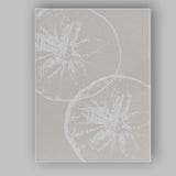 Minimalist White Sand Dollar Coastal Botanical Illustration Canvas Wall Art Print Decor Picture Ready to Hang