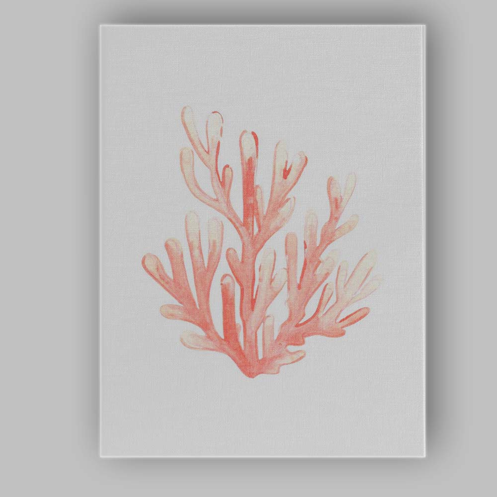 Coral Pink Watercolour Sea Coral Coastal Marine Illustration Canvas Wall Art Print Decor Picture Ready to Hang