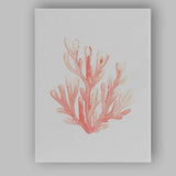 Coral Pink Watercolour Sea Coral Coastal Marine Illustration Canvas Wall Art Print Decor Picture Ready to Hang