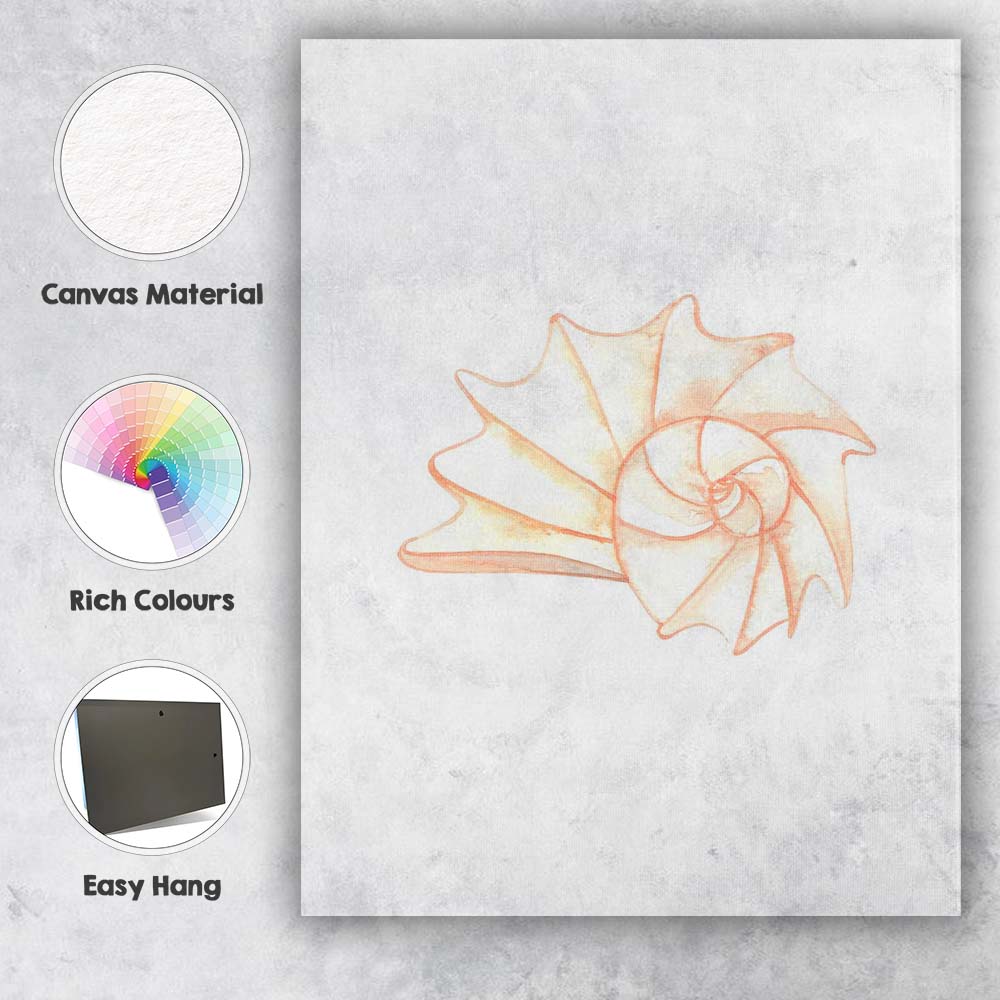 Soft Peach Nautilus Shell Coastal Watercolour Illustration Canvas Wall Art Print Decor Picture Ready to Hang