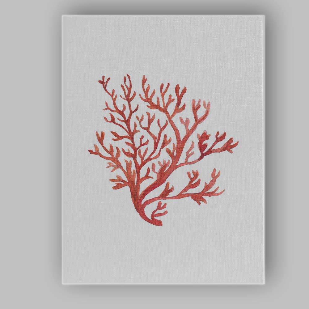 Terracotta Red Watercolour Coral Branch Coastal Illustration Canvas Wall Art Print Decor Picture Ready to Hang