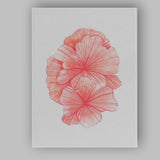 Coral Pink Watercolour Seashell Collection Coastal Illustration Canvas Wall Art Print Decor Picture Ready to Hang