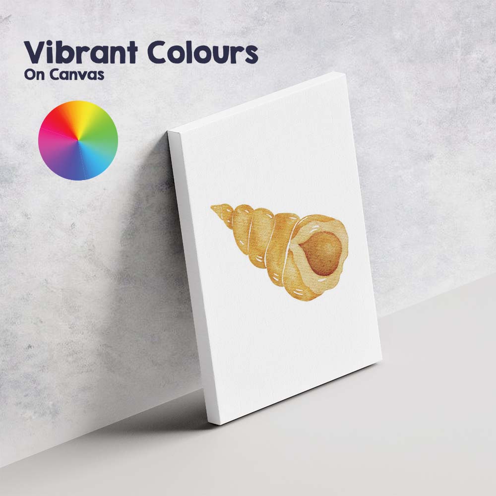 Golden Spiral Seashell Watercolour Coastal Marine Illustration Canvas Wall Art Print Decor Picture Ready to Hang