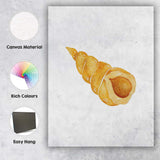 Golden Spiral Seashell Watercolour Coastal Marine Illustration Canvas Wall Art Print Decor Picture Ready to Hang