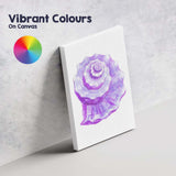 Purple Spiral Seashell Watercolour Coastal Marine Illustration Canvas Wall Art Print Decor Picture Ready to Hang