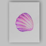 Pink Purple Scallop Seashell Watercolour Coastal Marine Illustration Canvas Wall Art Print Decor Picture Ready to Hang