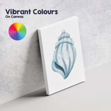 Soft Blue Spiral Seashell Watercolour Coastal Marine Illustration Canvas Wall Art Print Decor Picture Ready to Hang