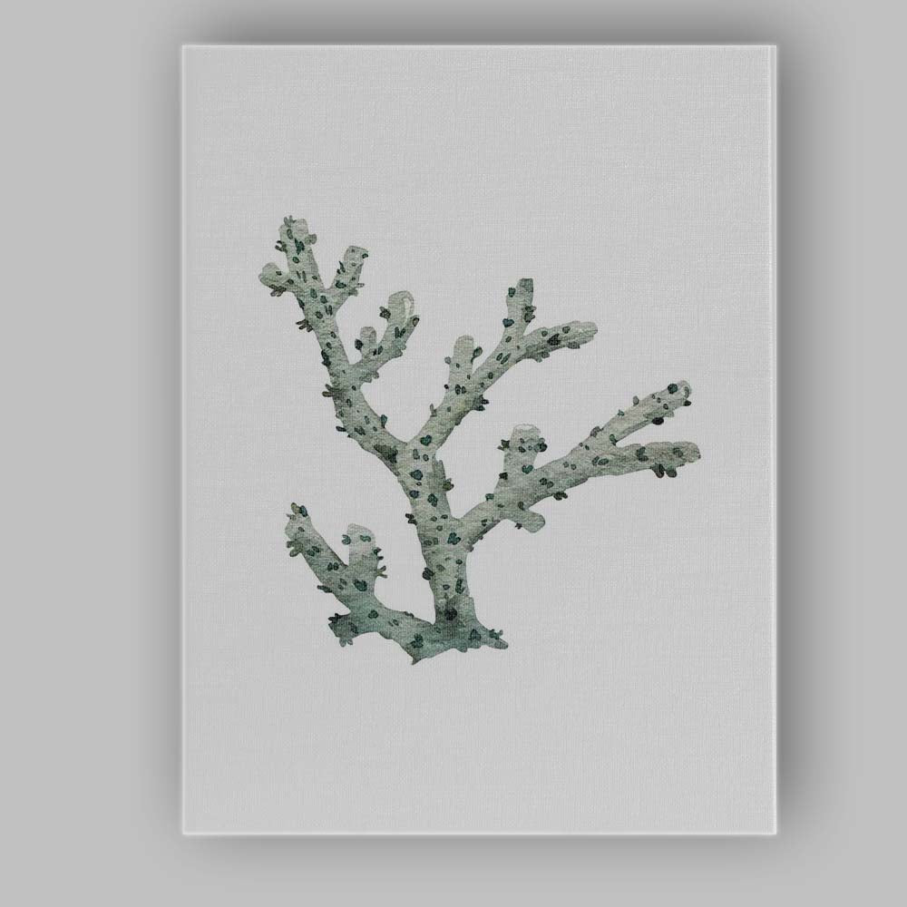 Soft Sage Branching Coral Watercolour Marine Illustration Canvas Wall Art Print Decor Picture Ready to Hang